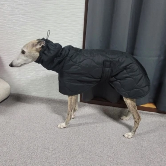 Adjustable Winter Coat