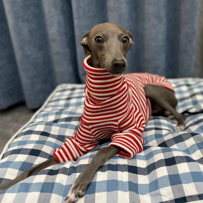 Red Striped  Whippet Turtleneck Sweater